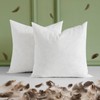 MIULEE 20x20 Pillow Inserts, Pack of 2 Feather Throw Pillow