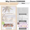 EOBROMD Paint by Numbers Kits for Adults Sunny Beach Palm,