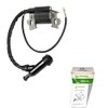 ZhongfaTec Ignition Coil for Northern Tool Powerhorse 750143 GX160 GX200
