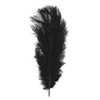 Rayher Piume di Struzzo, Nero, 30 Cm, Busta 1 Pz,