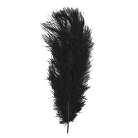 Rayher Piume di Struzzo, Nero, 30 Cm, Busta 1 Pz, 8510401