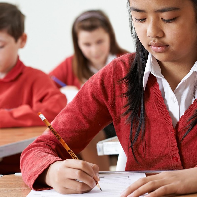 Award Pencils - Set of 10 (Bronze Award)