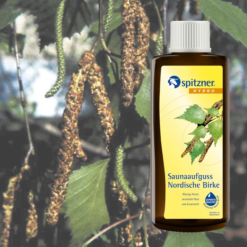 Sauna Infusion "Nordic Birch" (190 ml) Spitzner