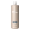 Paul Mitchell The Conditioner 500ml