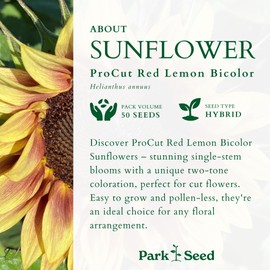 Park Seed Variety of Sunflower Plant Seeds, Easy to Grow, Perfect for Spring Garden, ProCut Red/Lemon Bi-Colour, Pack of 50