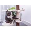 Petpals Pharaoh Cinnamon Brown and Porcelain White 4 Level Cat