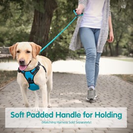 PHOEPET 5 Feet Dog Leash Reflective Heavy Duty Padded Rubber Handle 360° No Tangles for Small Medium and Large Dogs(Mint Green)