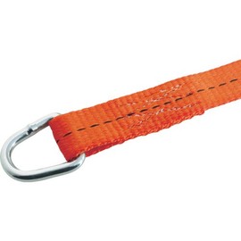 Trusco Belt Tensioner 25mm Width 200kg D-Ring Type GV25200D