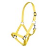 HKM Headcollar Stars Economy Softice, Neon Yellow, Shetty