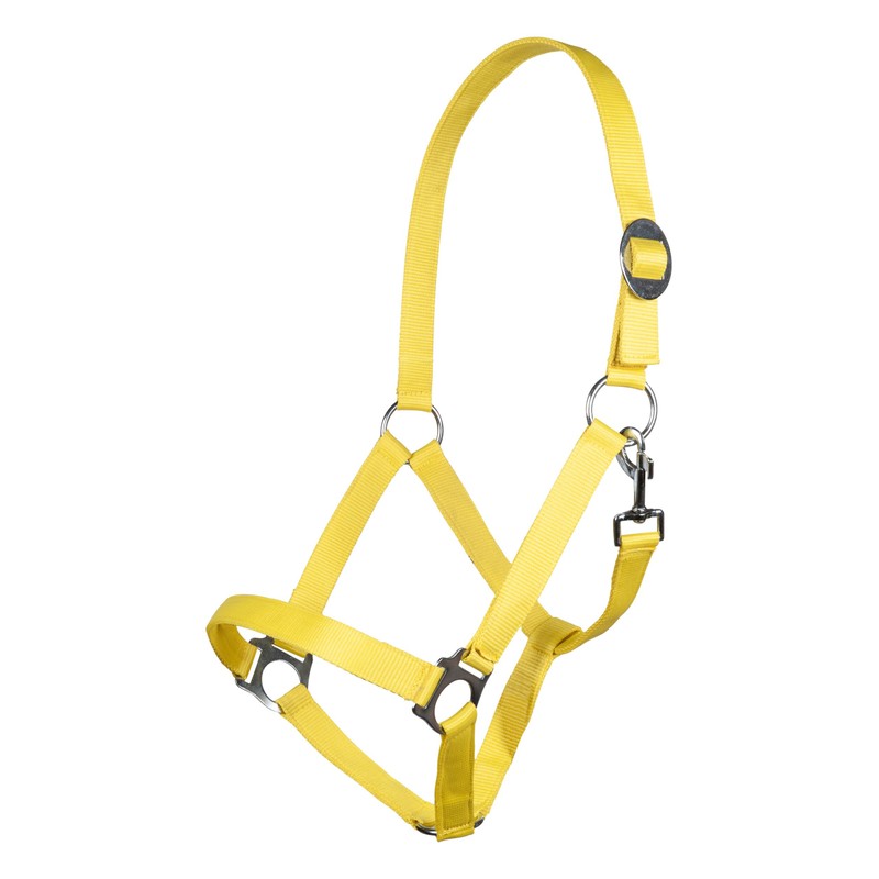 HKM Headcollar Stars Economy Softice, Neon Yellow, Shetty
