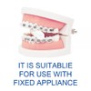 Orange Tooth Teeth Chew Toy for Pill Seats (3 Different