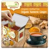 Adanim Bio Ginger Turmeric Tea, Value Pack 80 Teabags, Caffeine-free