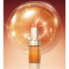 SULWHASOO Concentrated Ginseng Rejuvenating Serum 30ml