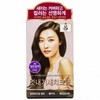 Ryeo Uahchae Stylish Gray Hair Cream 4N-Dark Brown 3 Uses 6ea