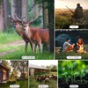 Stynxro Trail Camera, Outdoor, Wildlife Surveillance Camera, Small, Security Camera,