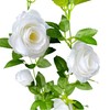 UKELER 2 Pack 14FT Artificial Rose Vines White Flower Garland