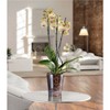 Orchid Pot Planter Orchid 16 cm