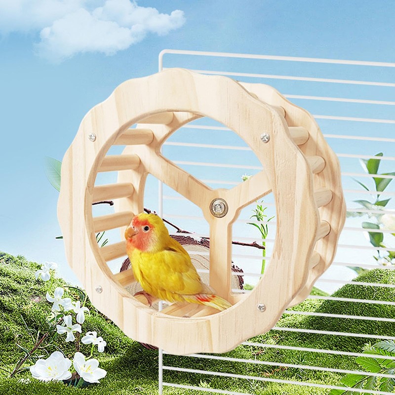 Bird Running Wheel, Spinner Running Wheels for Bird, Chew Beak