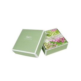 Caspari Fern Garden Boxed Cocktail Napkins - 40 Per Box