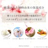 Daily Aroma Spring Urara Hand Cream (2.6 oz (75 g),