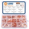 LordHardware 300PCS Copper Crush Sealing Washers Assortment Kit M5 M6