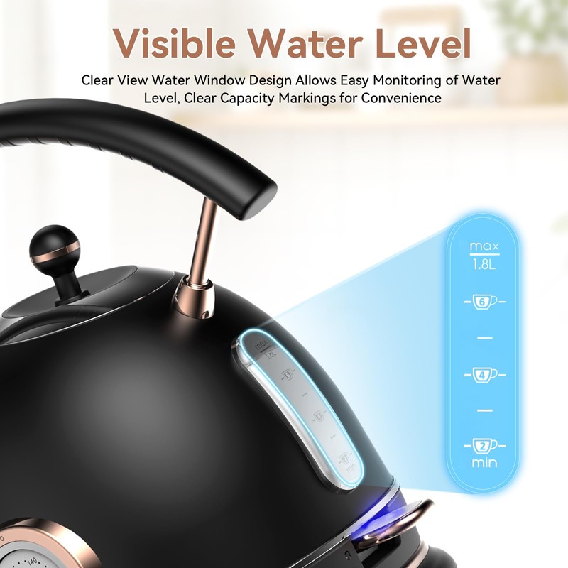 Rasonic Retro Electric Kettle Stainless Steel, 1.8L Tea Water Boiler,