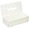 tidori Industrial Tissue Case White 26x13 X 5xh7 cm pe-pa-texissyuke-su