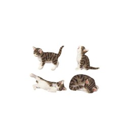 StealStreet SS-G-18060, Cat Figurine Collection Feline Animal Collectible Decoration (Set of 4)