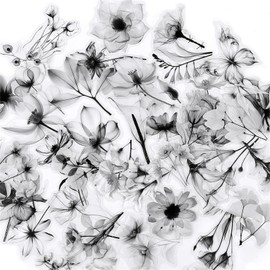 50Pcs Transparent Black and White Waterproof Plant Stickers for Scrapbooking, Water Bottles Laptop Journaling,Cute Vintage Floral Sticker for Kids Planners, Cards, Gifts (Ink Color)