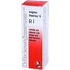 ANGINA-Gastreu S R1 Blend 22 ml