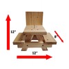 Combo Picnic Table Squirrel Corn Cob Feeder and Bulk Corn