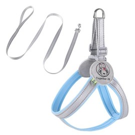 AILEVERS Easy Walk Dog Harness - No Pull Dog Harness，Dog Harness Collar and Leash Set Step in Pet Harness for Small Medium Dogs and Cats Outdoor Walking Running， Dog Vest Harnesses (Baby Blue, S)