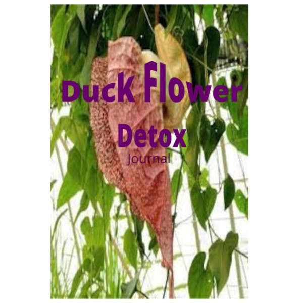  Duck Flower Detox journal: Duck Flower Detox