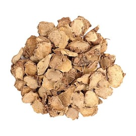 신선약초 핑거루트 300g Fresh Herb Fingerroot 300g