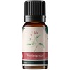 Winter Green 100% Pure Essential Aroma Oil 10 ml