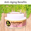 Moringa Anti Aging Cream 13 Natural Herbs with Antioxidants 3.4