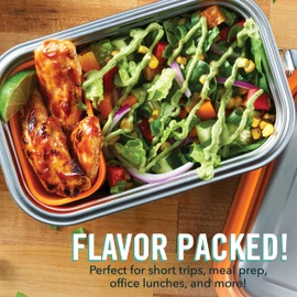 DASH The Fit Cook x Stainless Steel Lunch Box