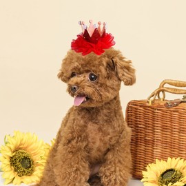 Dog Birthday Hat, Cute Crown Pet Cat Dog Hair Clips Headwear Hair Pins Kitten Puppy Headdress for Wedding Birthday Party Photography Decoration (RED)