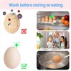 AIXXCUVQ 2pcs Gel Organic Egg Flexible Brush for Dirt Must-Have