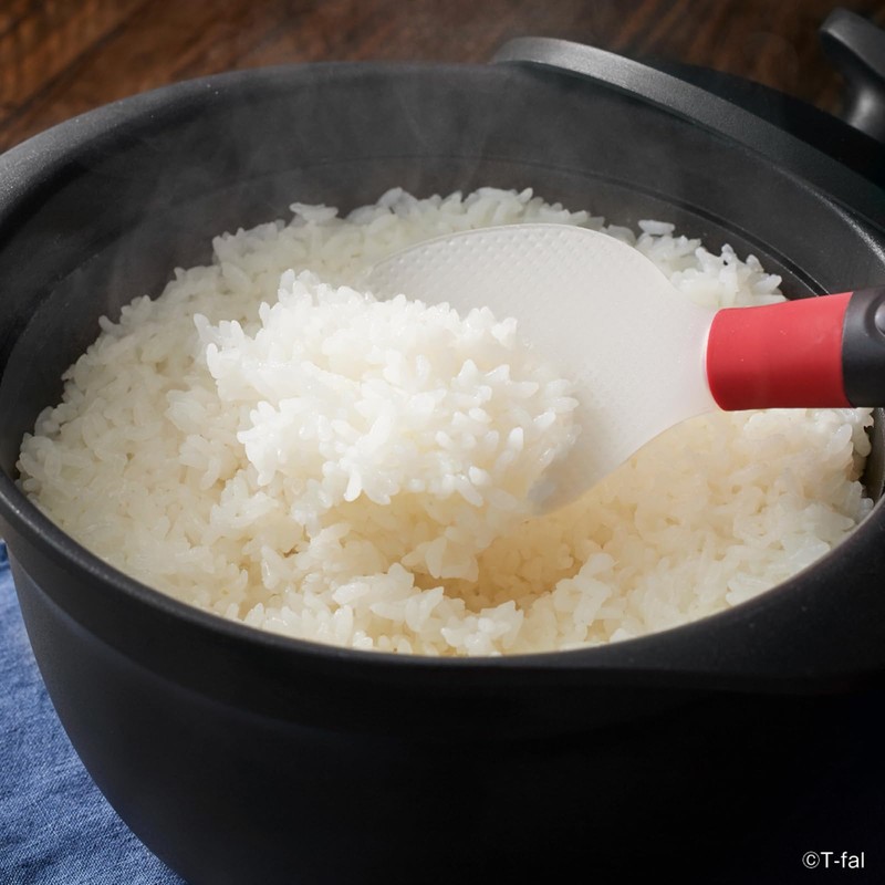 Tefal Rice Spoon, Freestanding, Non-Stick Embossed Dishwasher Safe "Ingenio Standing