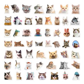 Gatos Cool Memes Cool Humor Diversión Cute 50 Calcomanías Stickers Pvc Vs Agua Stickers Variados Sin Repetir Impermeables Removible Diseños Únicos Para Electrónicos, Laptops, Termos, Celulares