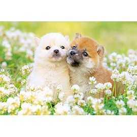 Beverly P33-205 300 Piece Jigsaw Puzzle, Hatsukoi Wanko 10.2 x 15.0 inches (26 x 38 cm), Made in Japan