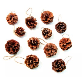 Unbranded Pine Cone Ornaments Christmas Decorations 1  1/2" to 2" Natural Tree Cones 12pcs