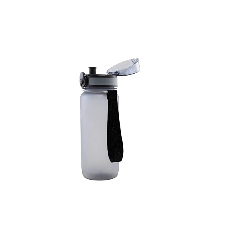 Fortuna Düsseldorf Tritan F95 Water Bottle Grey Transparent 0.65 L