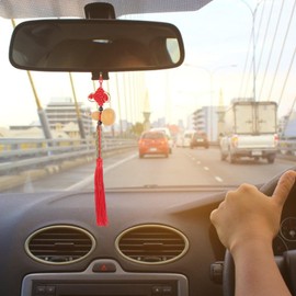 LIFKOME 2pcs Gourd Pendant Chinese Hanging Gourd Five Emperor Coin Tassel Gourd Charms Keychain Lanyard Chinese Knot Tassel Bag Charm Wu Womens Purse Door Pendant Copper Wood Man Lucky