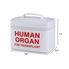 Vintage and Funny Human Organ Lunch Box,the Safest Box for