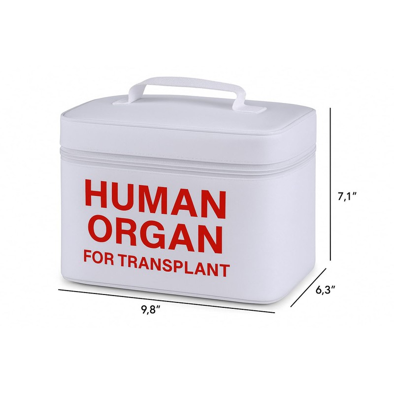 Vintage and Funny Human Organ Lunch Box,the Safest Box for