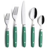 ANNOVA Silverware Set 20 Pieces Stainless Steel Color Handle With