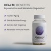 InfiniWell InfiniWell Senescent Regulator Ongoing Autophagy Support, 60 Capsules (30 Day Supply), Healthy Aging and Cellular Function Support Dietary Supplement, with Turmeric, Curcumin, Luteolin, Resveratrol