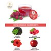 Organic Raspberry Apple Black Tea Pods for Keurig - Naturally
